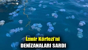 İzmir Körfezi’ni denizanaları sardı