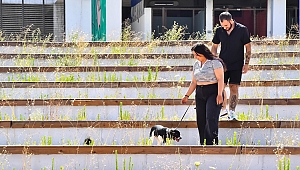 İzmirli gençler Hatay’dan gelen depremzede köpeği sahiplendi