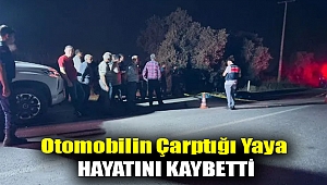 Otomobilin çarptığı yaya hayatını kaybetti