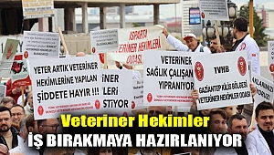 Veteriner hekimler iş bırakmaya hazırlanıyor