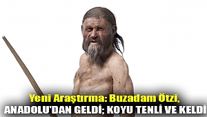 Yeni araştırma: Buzadam Ötzi, Anadolu'dan geldi; koyu tenli ve keldi
