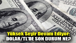 Yüksek seyir devam ediyor: Dolar/TL'de son durum ne?