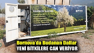 Bornova’da budanan dallar yeni bitkilere can veriyor
