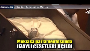 Meksika parlamentosunda 'uzaylı cesetleri' açıldı