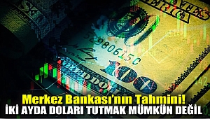 Merkez Bankası'nın Tahmini! İki Ayda Doları Tutmak Mümkün Değil