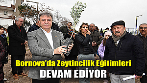 Bornova’da zeytincilik eğitimleri devam ediyor