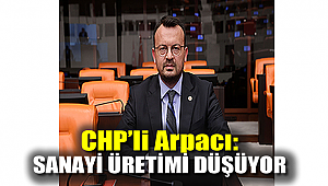 CHP'li Arpacı: Sanayi üretimi düşüyor