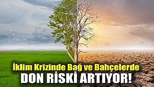 İklim Krizinde Bağ ve Bahçelerde ‘Don’ Riski Artiyor!