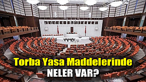 Torba yasa maddelerinde neler var?