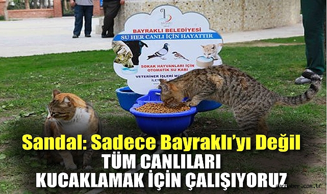 Sandal: Sadece Bayraklı'yı değil, tüm canlıları kucaklamak için çalışıyoruz.