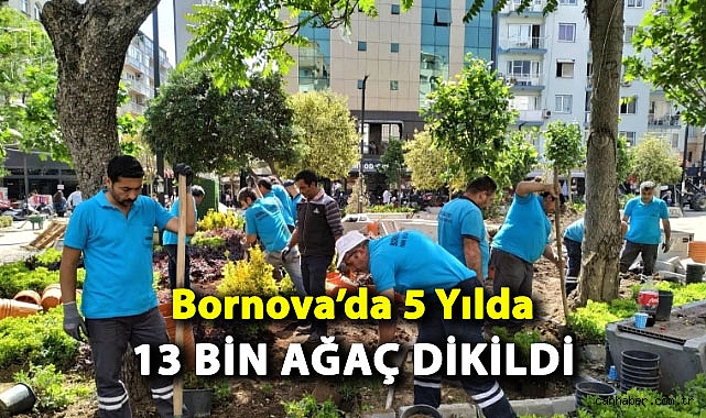 Bornova'da 5 Yılda 13 Bin Ağaç Dikildi