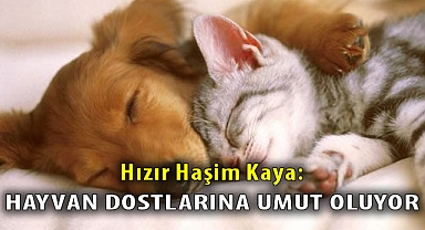Hızır Haşim Kaya: Hayvan Dostlarına Umut Oluyor