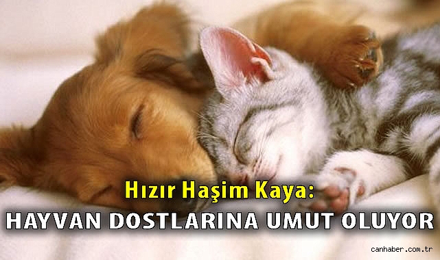 Hızır Haşim Kaya: Hayvan Dostlarına Umut Oluyor