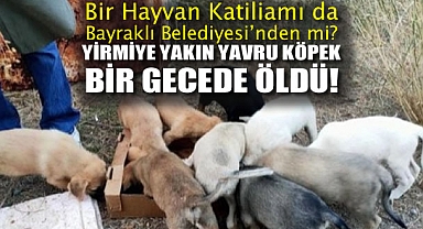 Bir Hayvan Katiliamı da Bayraklı Belediyesi’nden mi? Yirmiye Yakın Yavru Köpek Bir Gecede Öldü!