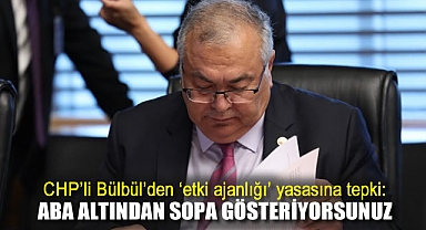 CHP'li Bülbül’den 'etki ajanlığı' yasasına tepki: Aba Altından Sopa Gösteriyorsunuz