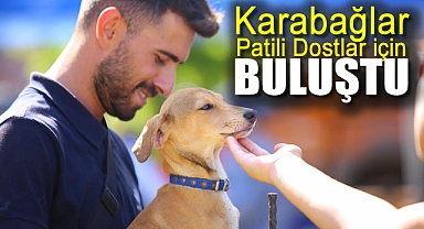 Karabağlar patili dostlar için buluştu