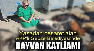 Yasadan cesaret alan AKP'li Gebze Belediyesi'nde Hayvan Katliamı!