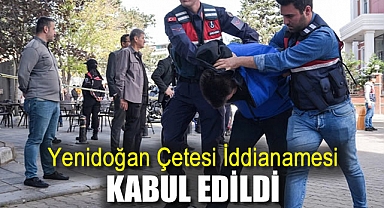 Yenidoğan çetesi iddianamesi kabul edildi