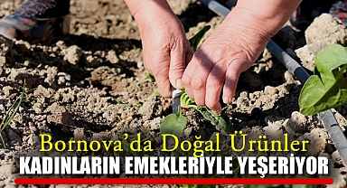 Bornova'da Doğal Ürünler Kadınların Emekleriyle Yeşeriyor