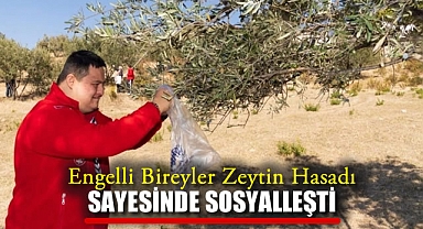 Engelli Bireyler Zeytin Hasadı Sayesinde Sosyalleşti