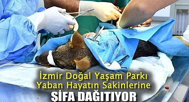 İzmir Doğal Yaşam Parkı Yaban Hayatın Sakinlerine Şifa Dağıtıyor
