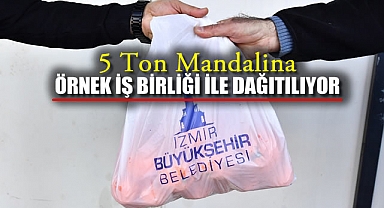 5 Ton Mandalina Örnek İş Birliği İle Dağıtılıyor