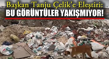 Başkan Tanju Çelik'e Eleştiri: Bergama'ya Bu Görüntüler Yakışmıyor!
