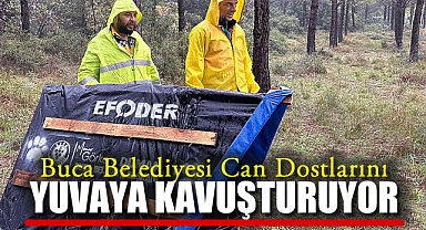 Buca Belediyesi Can Dostlarını Yuvaya Kavuşturuyor