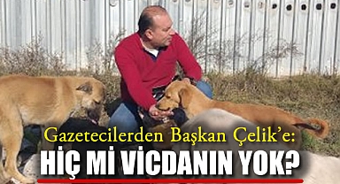 Gazetecilerden Başkan Çelik'e: Hiç mi vicdanın yok?