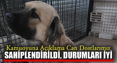 Kamuoyuna Açıklama Can Dostlarımız Sahiplendirildi, Durumları İyi