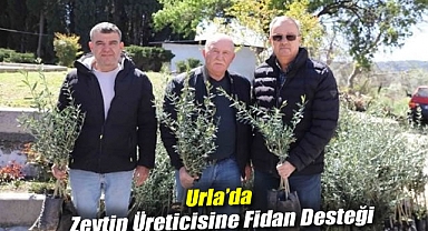 Urla’da zeytin üreticisine fidan desteği