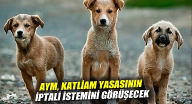 AYM, katliam yasasının iptali istemini görüşecek
