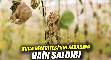 Buca Belediyesi’nin Serasına Hain Saldırı