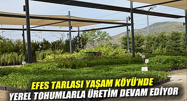 Efes Tarlası Yaşam Köyü’nde Yerel Tohumlarla Üretim Devam Ediyor