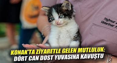 Konak’ta ziyaretle gelen mutluluk: Dört can dost yuvasına kavuştu