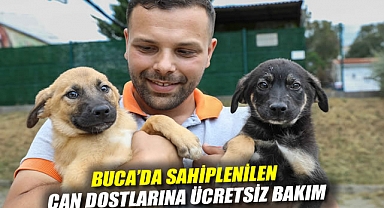 Buca’da sahiplenilen can dostlarına ücretsiz bakım