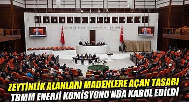 Zeytinlik alanları madenlere açan tasarı TBMM Enerji Komisyonu'nda kabul edildi