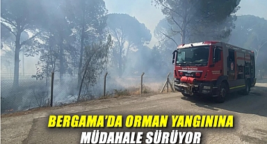 Bergama’da Orman Yangını! Müdahale Sürüyor