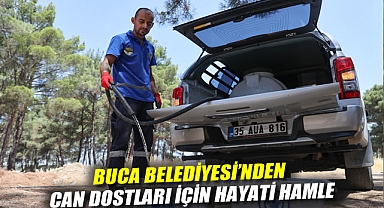 Buca Belediyesi’nden can dostları için hayati hamle