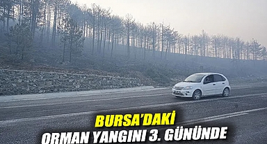 Bursa'daki orman yangını 3. gününde: Duman gökyüzünü kapladı, göz gözü görmüyor!