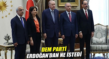 DEM Parti Erdoğan'dan ne istedi?