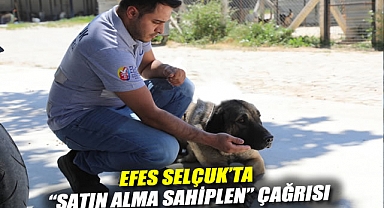 Efes Selçuk'ta
