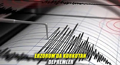 Erzurum’da Korkutan Depremler: 4.1’in Ardından 3.9 Büyüklüğünde Bir Sarsıntı Daha