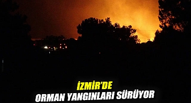 İzmir'de orman yangınları sürüyor: Birçok mahalle boşaltıldı, karayolu kapatıldı