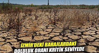 İzmir'deki barajlardaki doluluk oranı kritik seviyede: Gördes Barajı kurudu