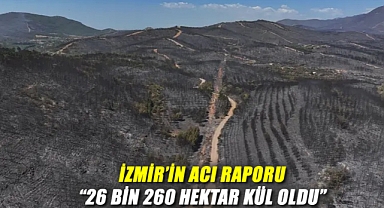 İzmir’in Acı Raporu: 26 Bin 260 Hektar Kül Oldu