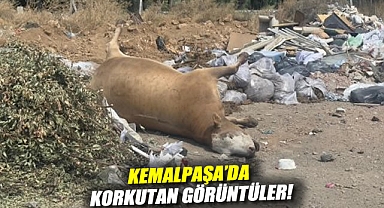 Kemalpaşa'da korkutan görüntüler!