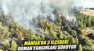 Manisa'da 3 ilçedeki orman yangınları sürüyor: Havadan müdahale yeniden başladı