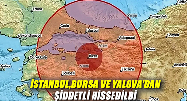 Marmara'da Peş Peşe Depremler: İstanbul, Bursa ve Yalova'da Şiddetli Hissedildi