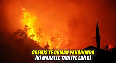 Ödemiş'te Orman Yangını: Tosunlar ve Suçıktı Mahalleleri Tahliye Edildi